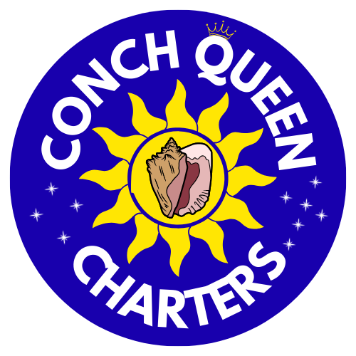Conch Queen Charters
